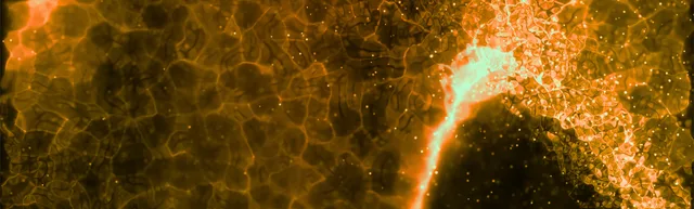 De novo Design of Dual mTOR/EGFR Inhibitor for a Double-Punch Effect